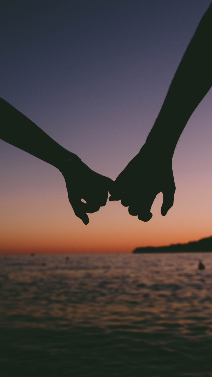 Обои облако, книга, дерево, небо, крыло в разрешении 720x1280