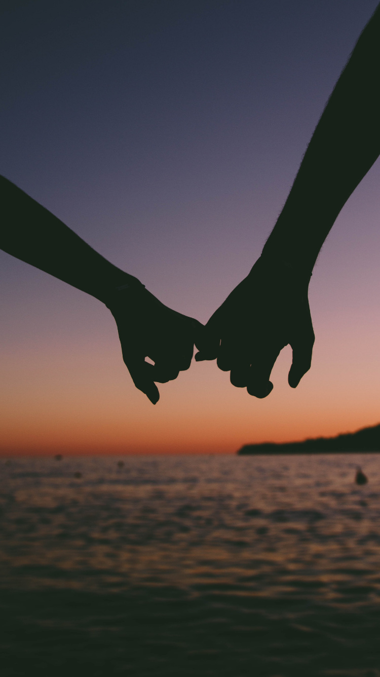 Обои облако, книга, дерево, небо, крыло в разрешении 750x1334