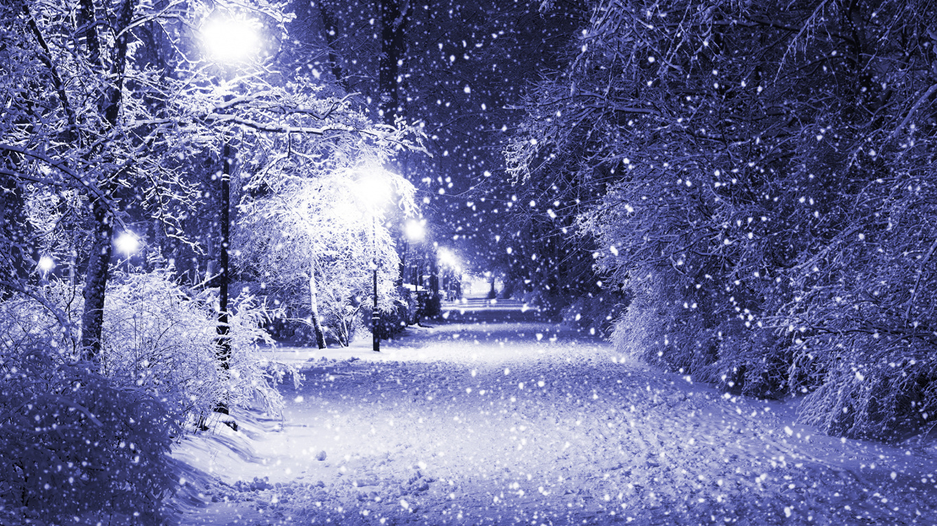 Обои зима, снег, природа, мороз, замораживание в разрешении 1366x768