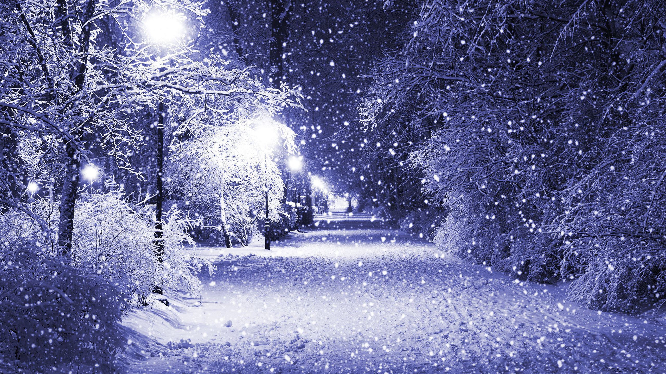 Обои зима, снег, природа, мороз, замораживание в разрешении 2560x1440