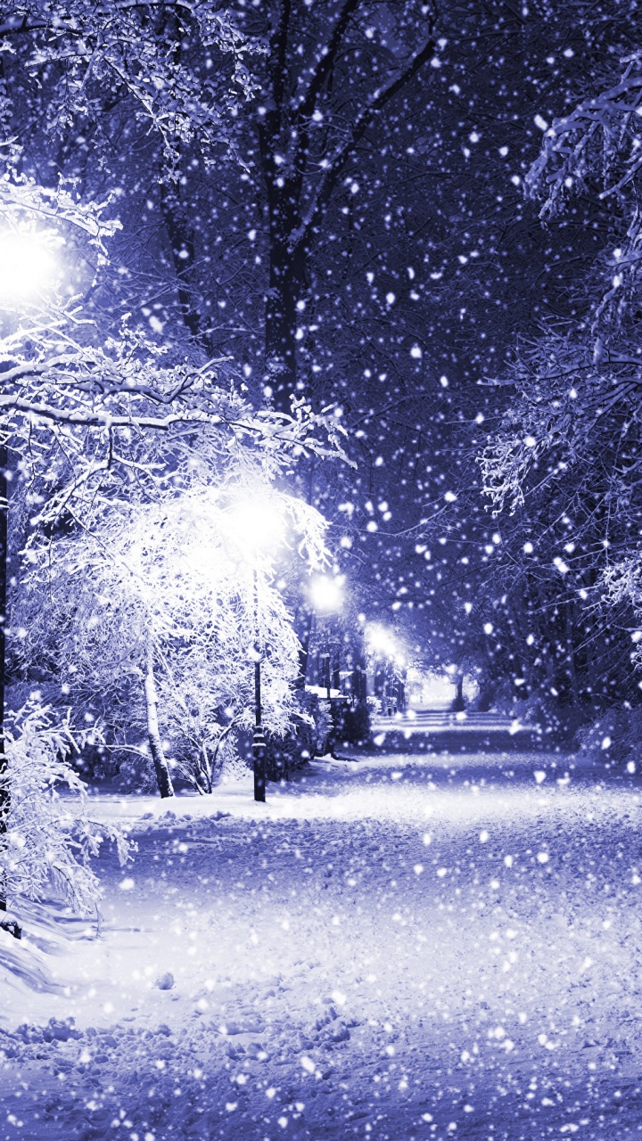 Обои зима, снег, природа, мороз, замораживание в разрешении 720x1280