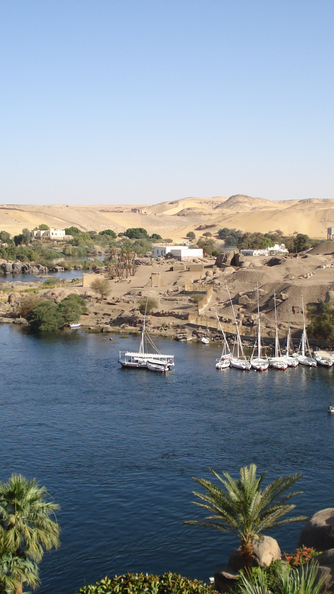 Обои озеро, Луксор, Асуан, Слоновьей, дерево в разрешении 1080x1920