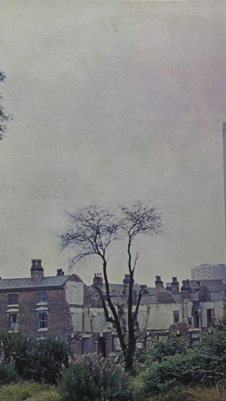 Обои Led Zeppelin IV, лед Зеппелин, граммофонная пластинка, дерево, здание в разрешении 720x1280