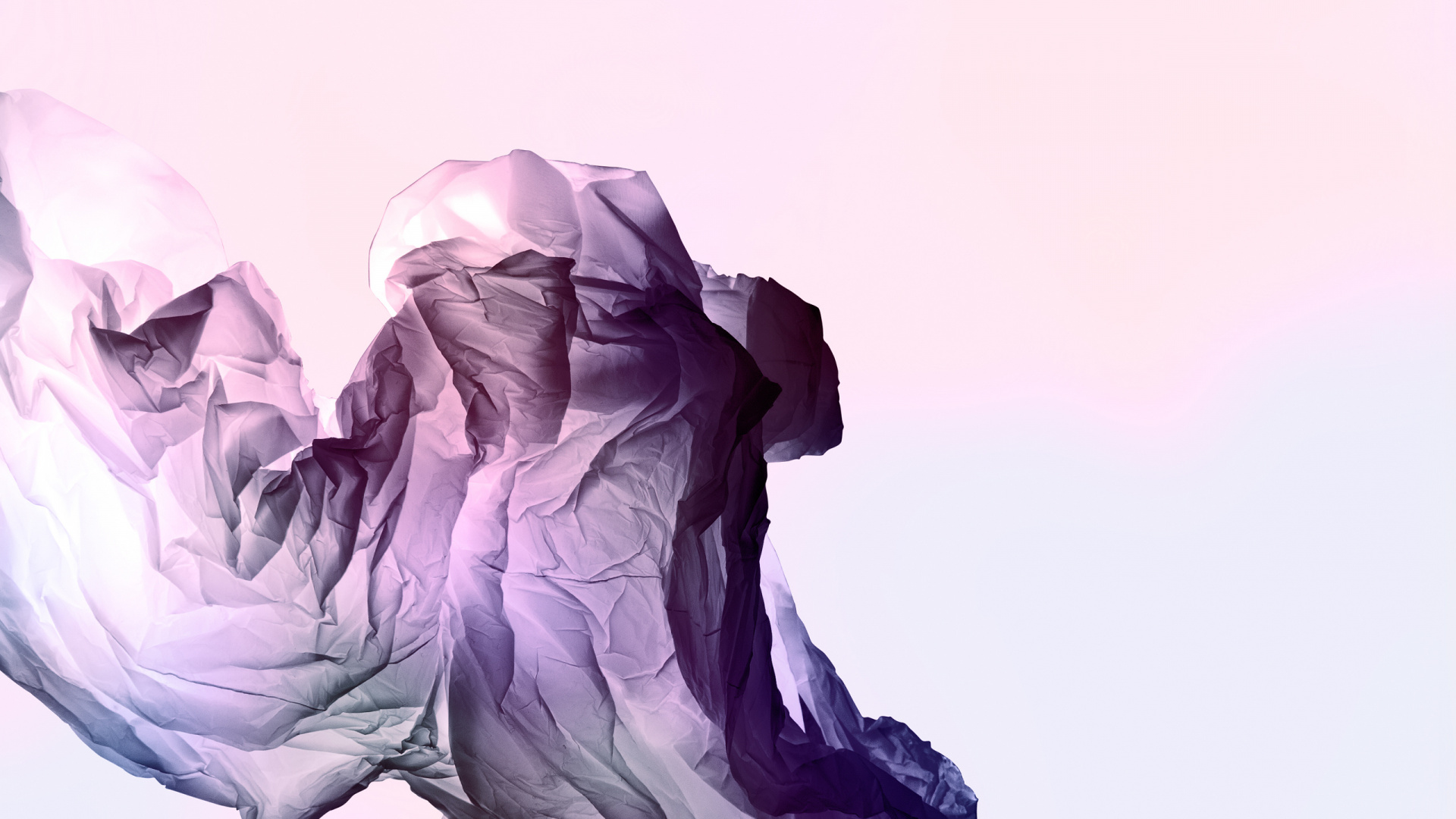 Обои пурпур, Фиолетовый, иллюстрация, цветок, лепесток в разрешении 1920x1080