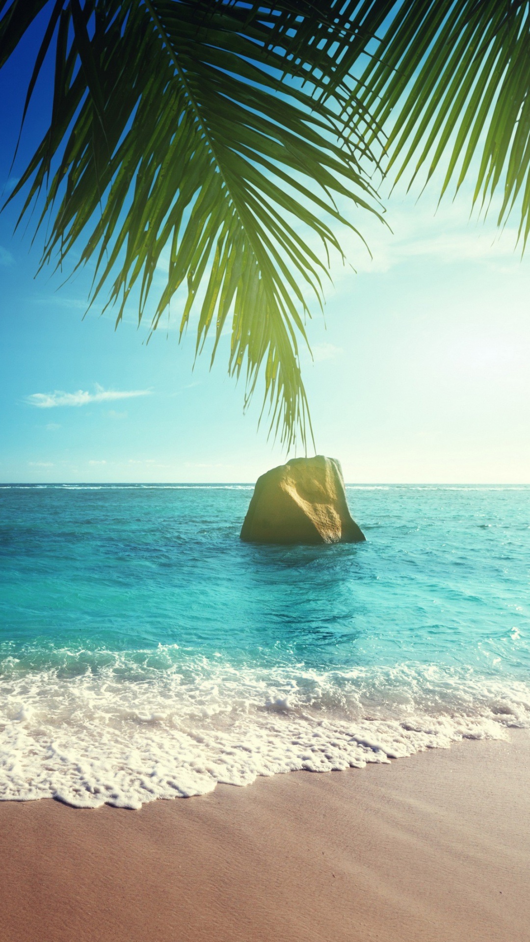 Обои пляж, тропическая зона, море, океан, Пальма в разрешении 1080x1920