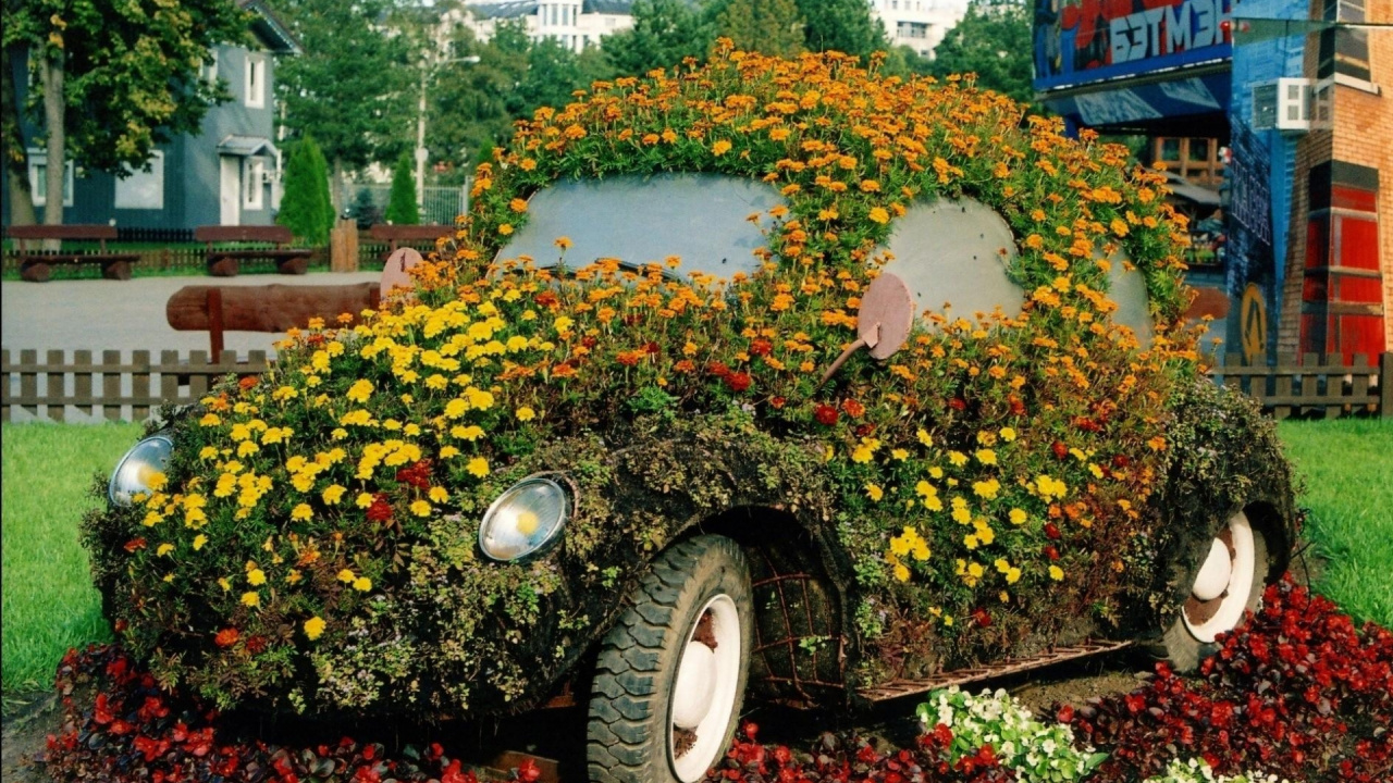 Обои цветник, сад, дерево, декоративное искусство, садоводство в разрешении 1280x720