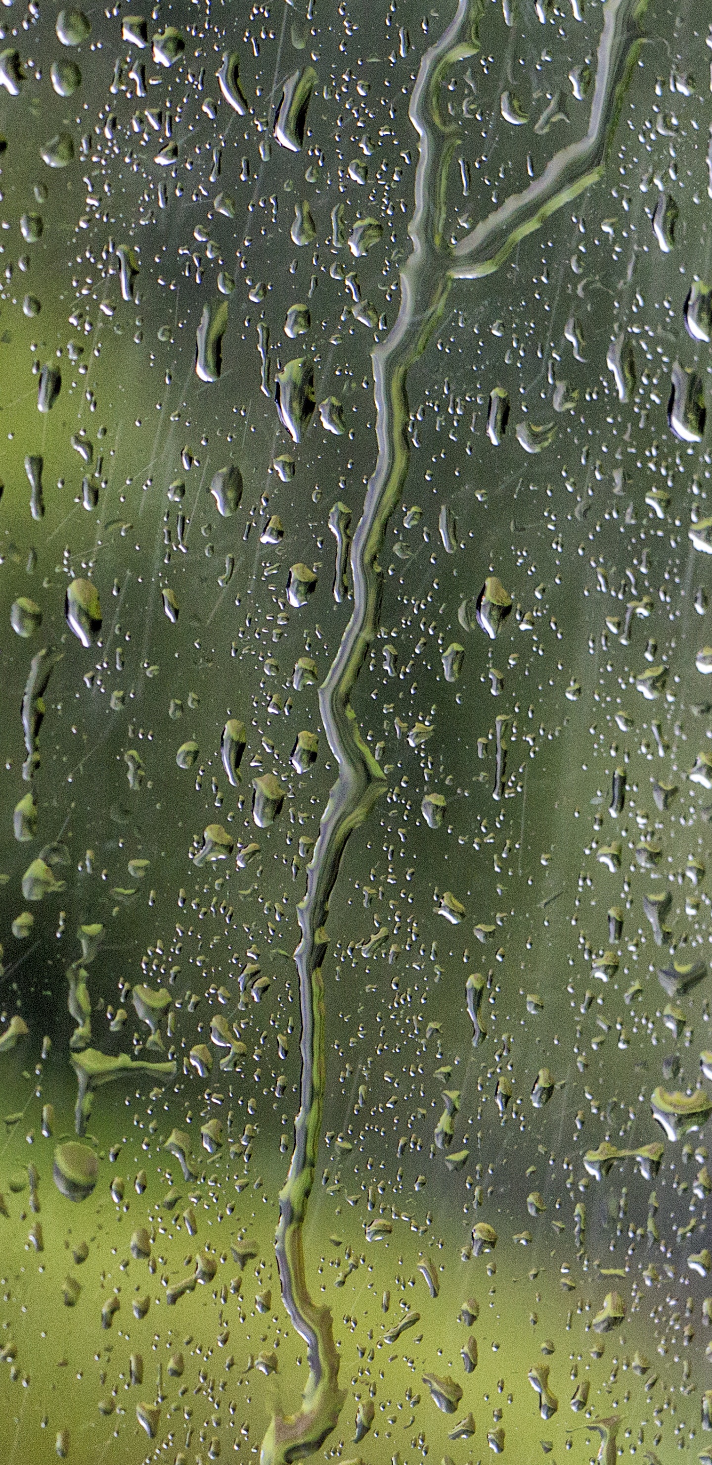 Обои стекло, вода, зеленый, дождь, мелкий дождь в разрешении 1440x2960