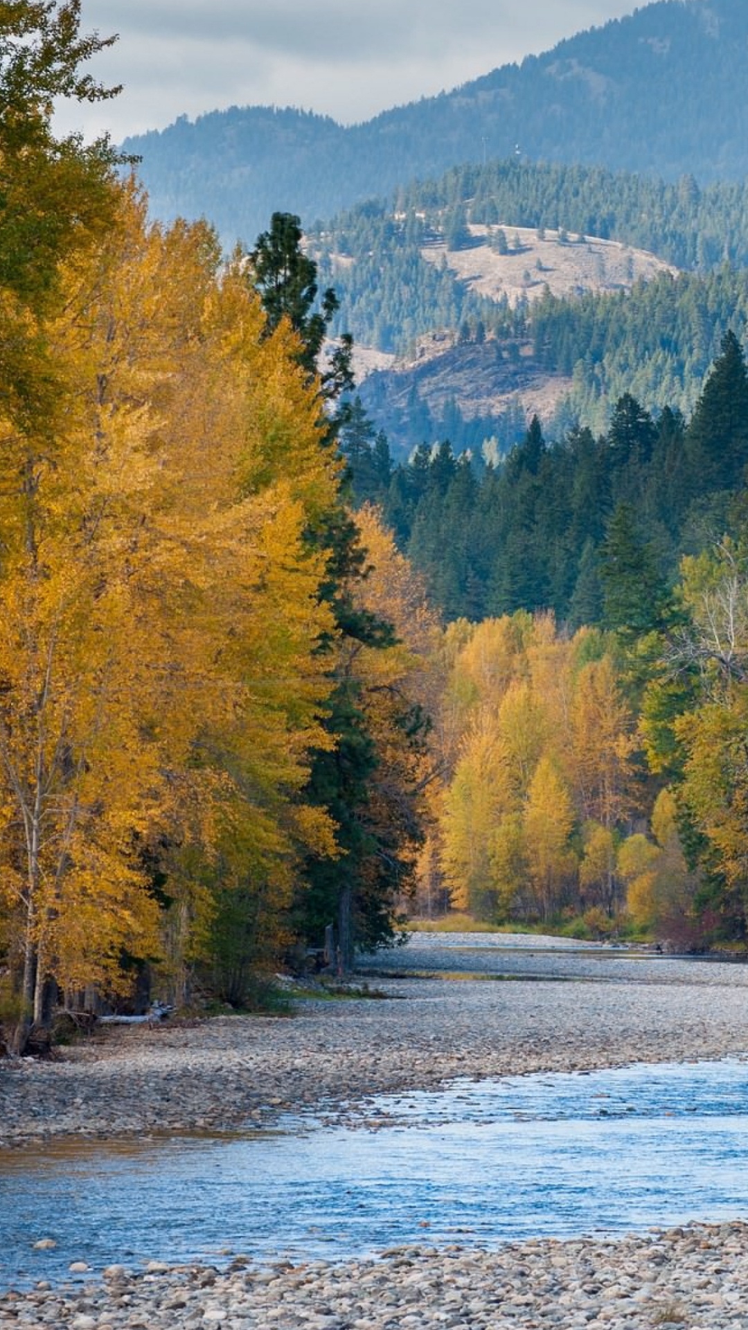 Обои Вашингтон, Реки Метоу, реки, природный ландшафт, дерево в разрешении 1080x1920
