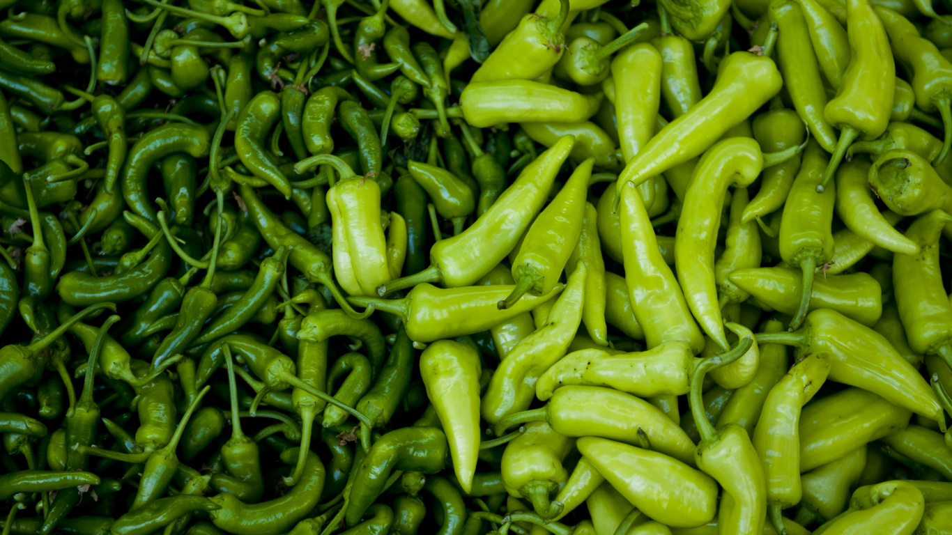 Обои перец зеленый, чилийский перец, сладкий перец, Зеленый перец, овощ в разрешении 1366x768