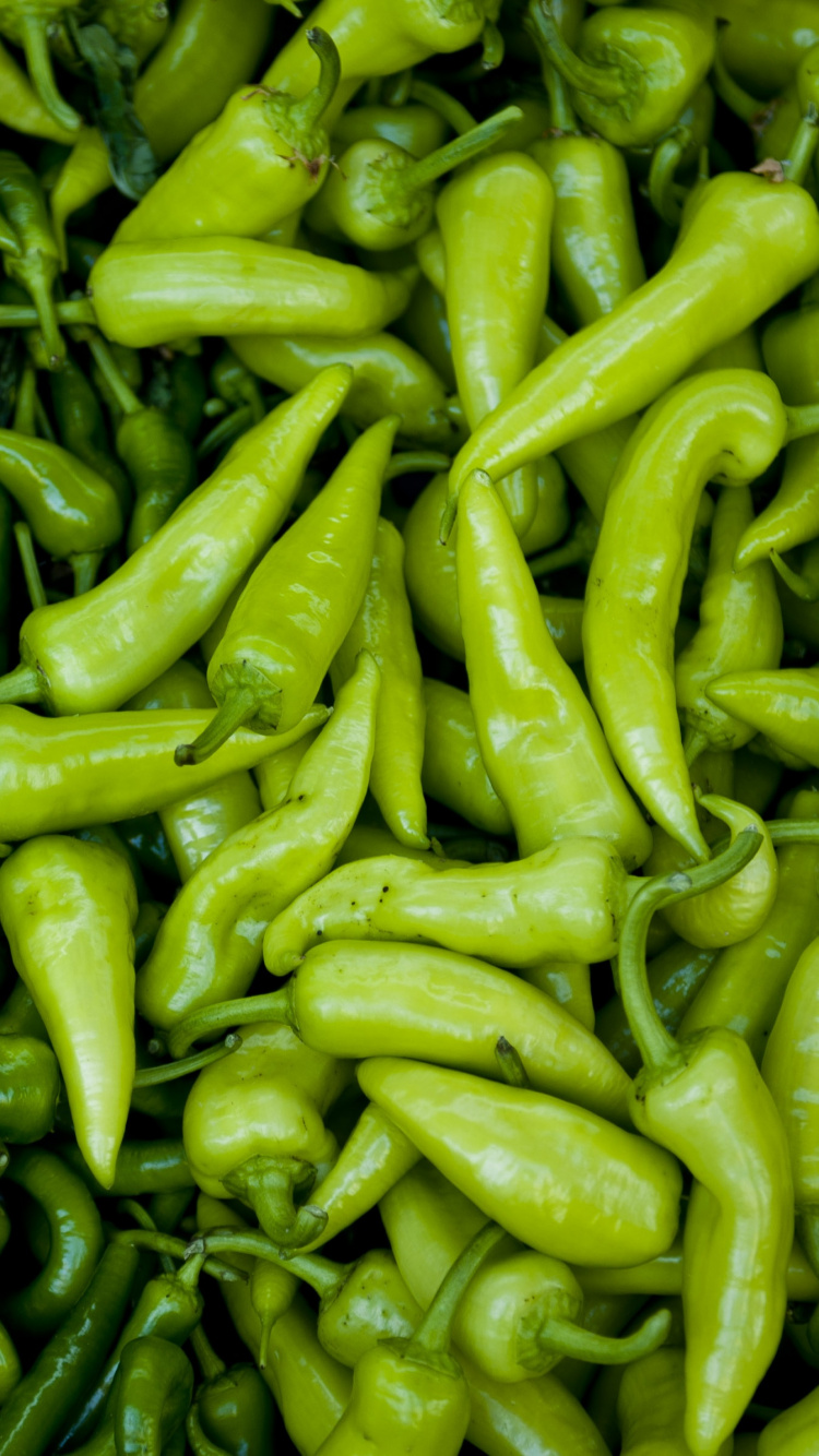 Обои перец зеленый, чилийский перец, сладкий перец, Зеленый перец, овощ в разрешении 750x1334