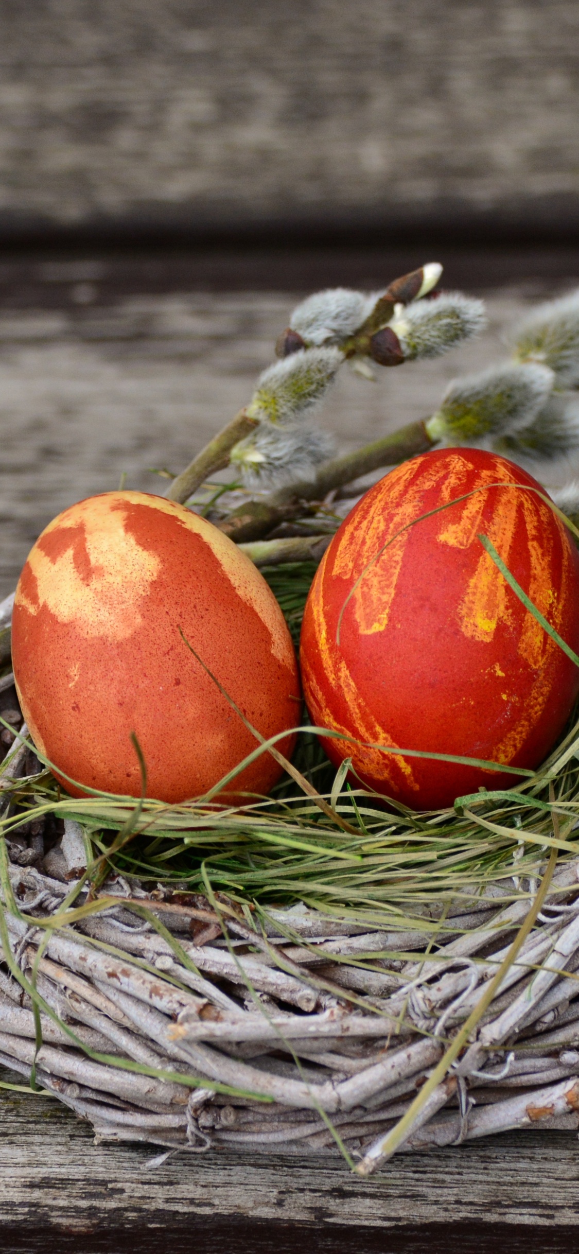 Обои яйцо, пасхальное яйцо, пища, натюрморт, пасха в разрешении 1125x2436