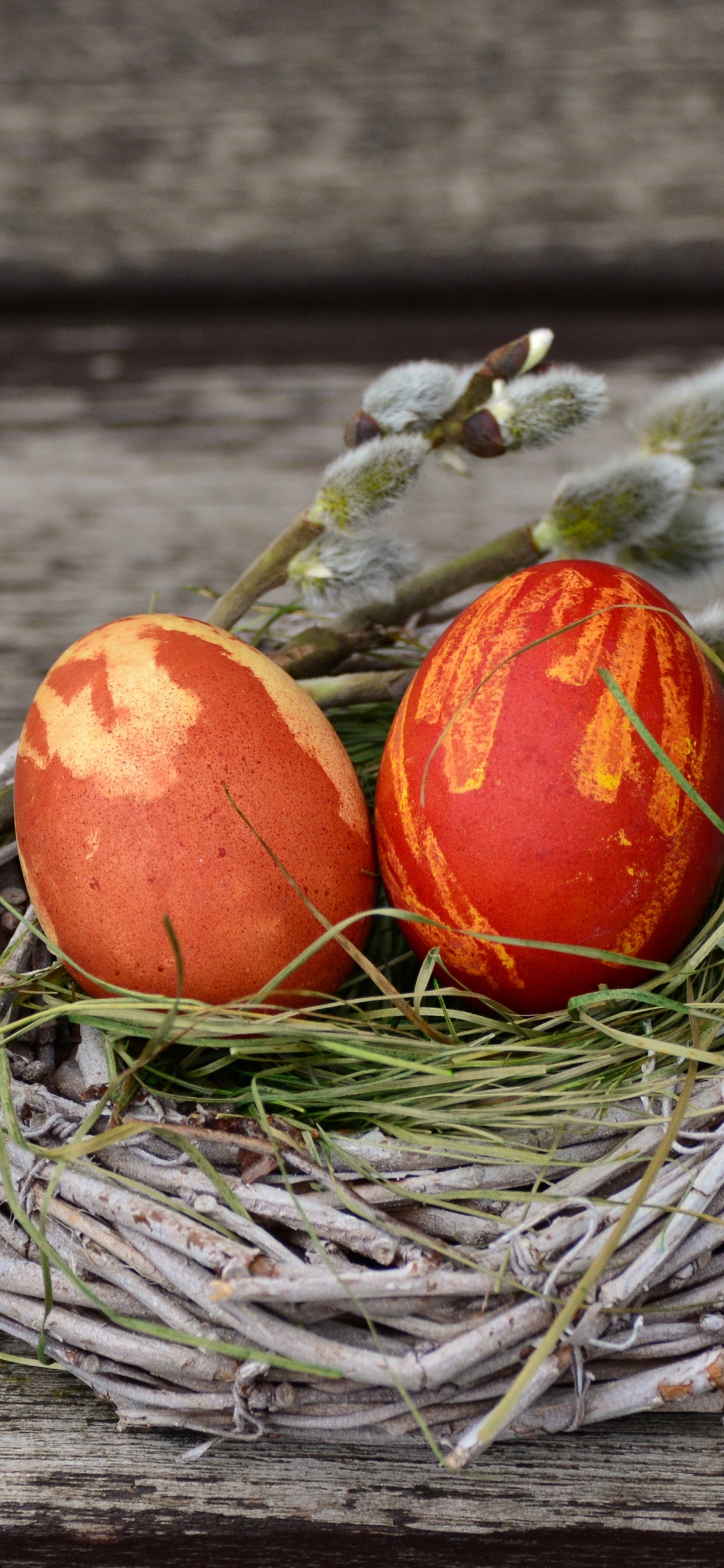 Обои яйцо, пасхальное яйцо, пища, натюрморт, пасха в разрешении 1242x2688