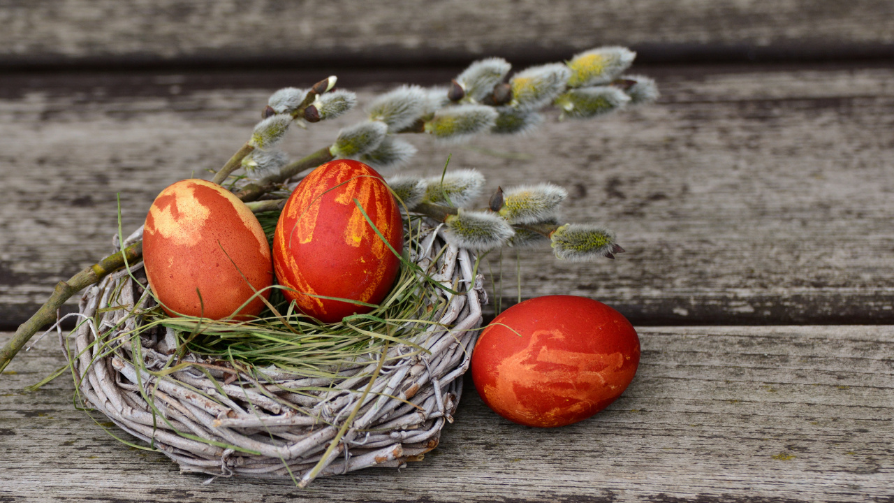 Обои яйцо, пасхальное яйцо, пища, натюрморт, пасха в разрешении 1280x720