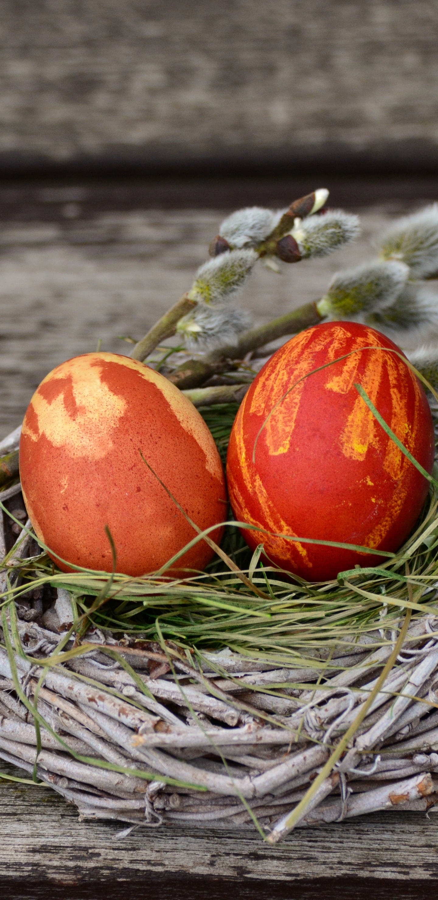 Обои яйцо, пасхальное яйцо, пища, натюрморт, пасха в разрешении 1440x2960