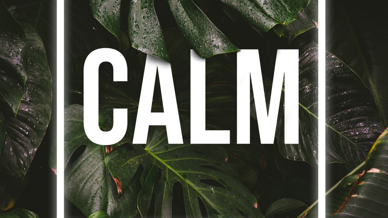 Обои природа, призрак цусимы, сабреддит, растение, лист в разрешении 1280x720