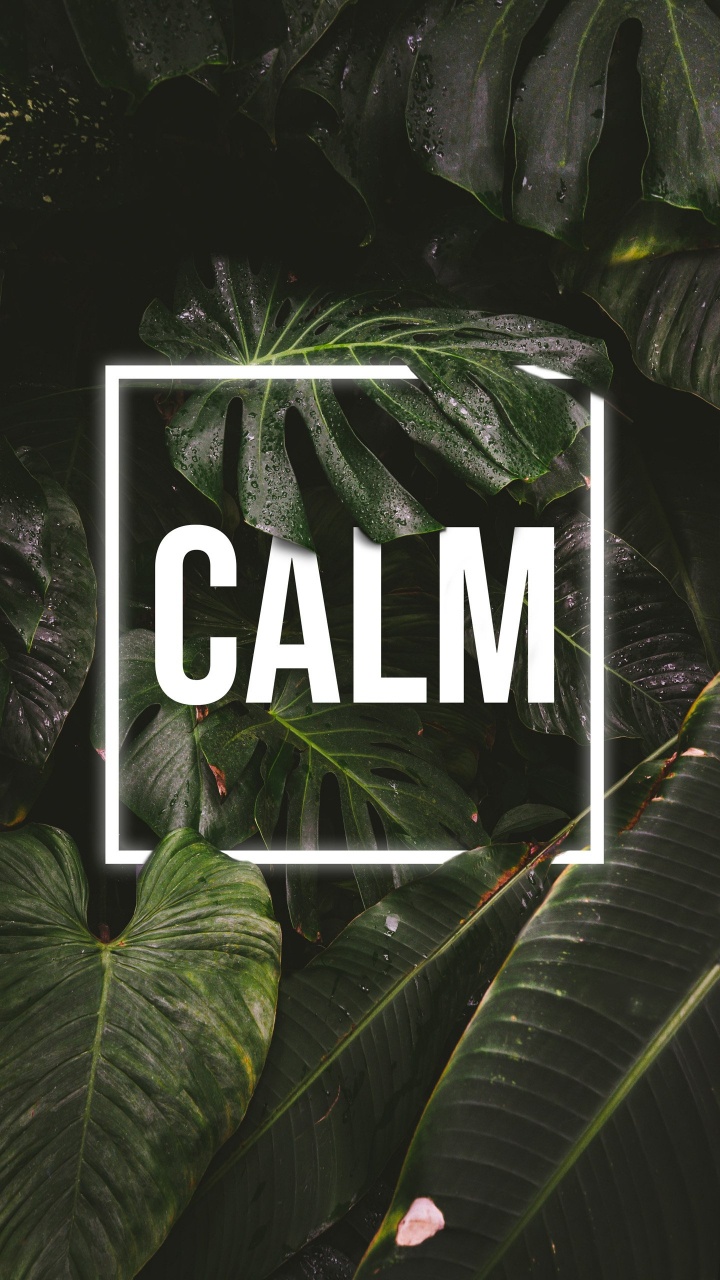 Обои природа, призрак цусимы, сабреддит, растение, лист в разрешении 720x1280