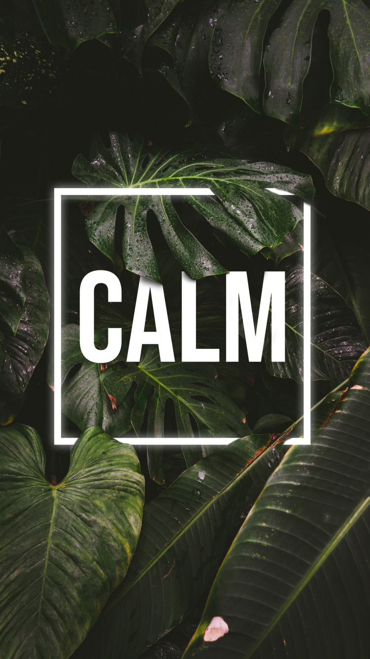 Обои природа, призрак цусимы, сабреддит, растение, лист в разрешении 750x1334