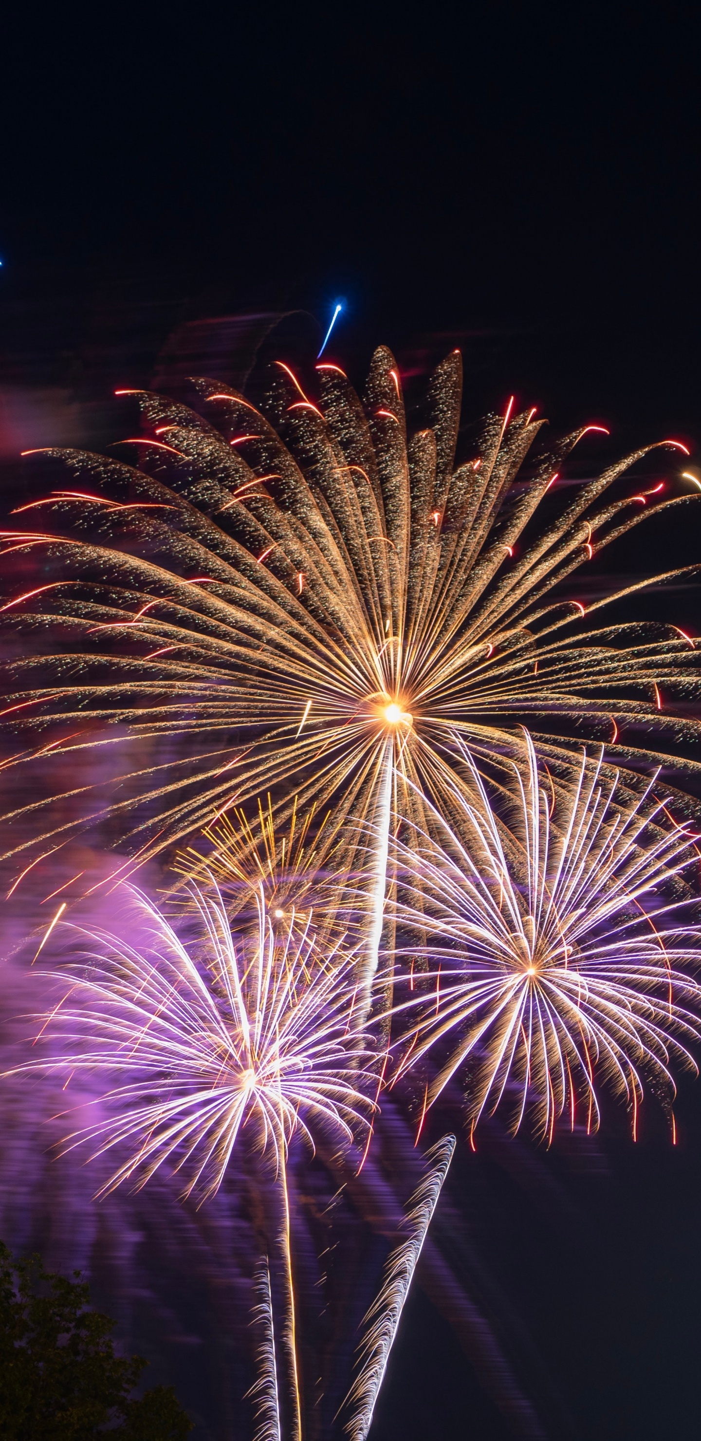 Обои салют, день нового года, ночь, полночь, фестиваль в разрешении 1440x2960