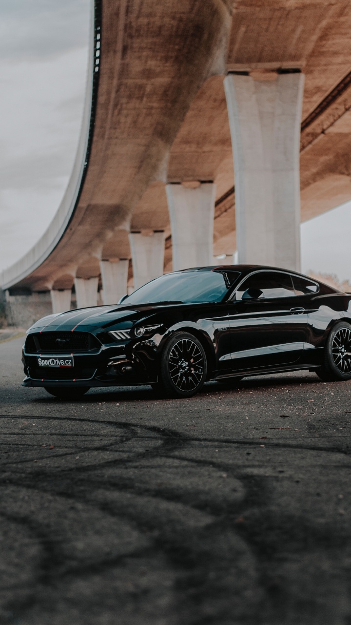 Обои ford gt, Шелби Мустанг, авто, компания Ford, спорткар в разрешении 720x1280