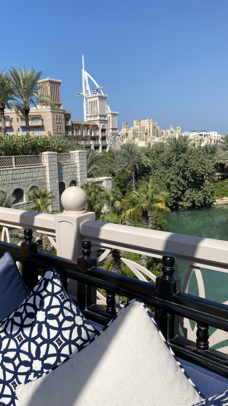 Обои крыша, недвижимость, мажорель синий, биология, флерон в разрешении 750x1334