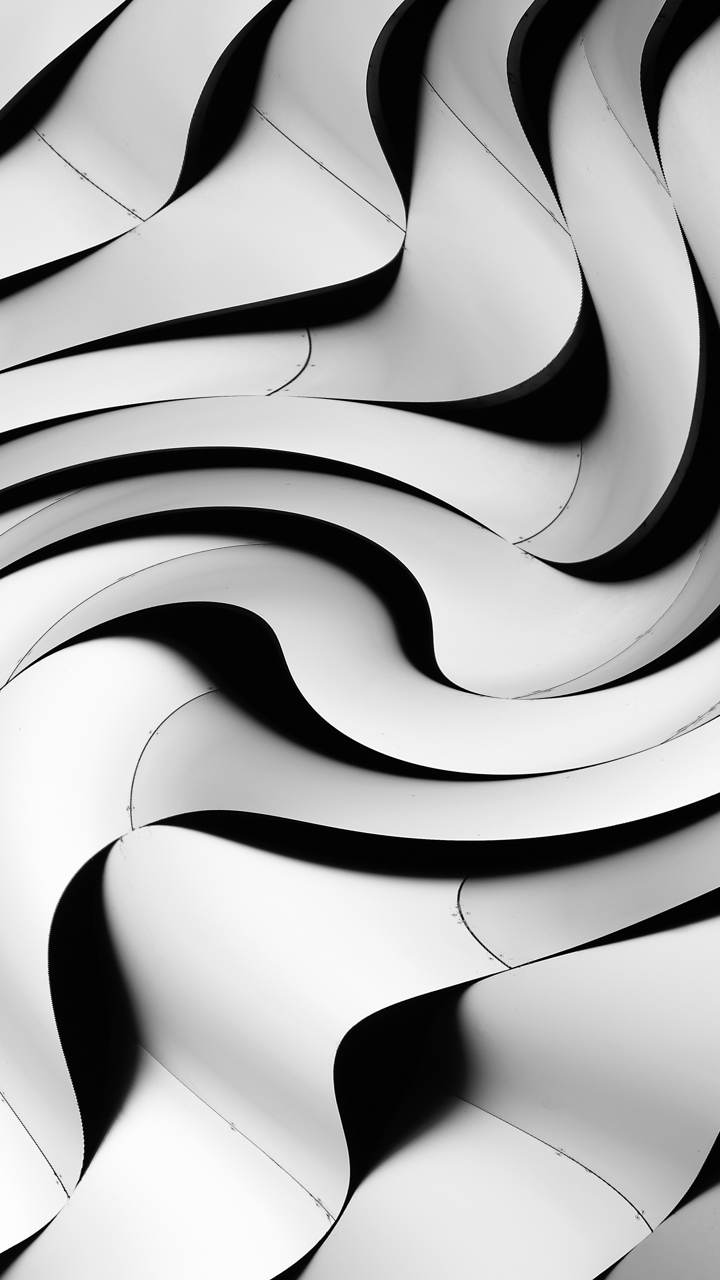 Обои белые, монохромный, черный, узор, линия в разрешении 1440x2560