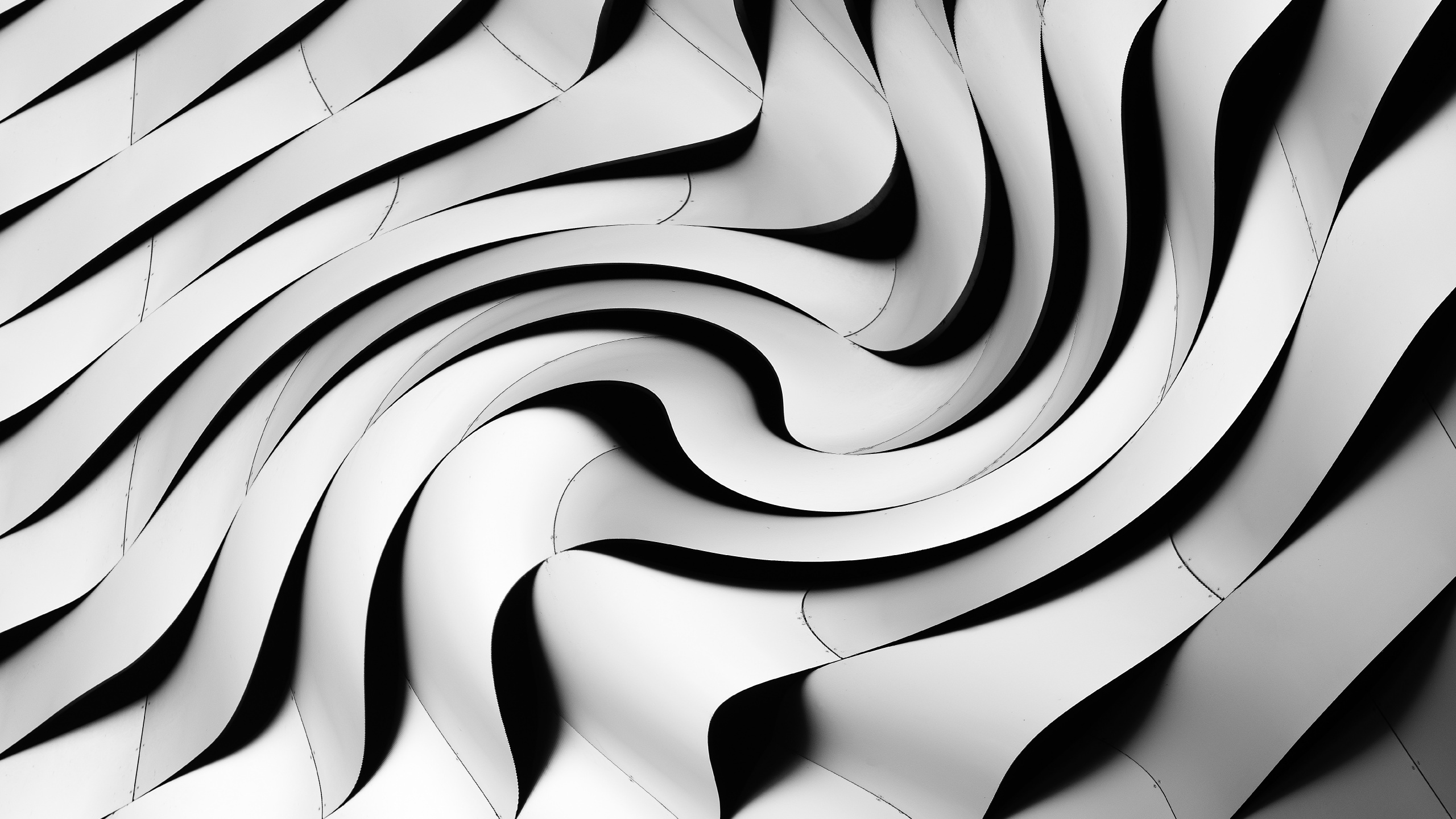 Обои белые, монохромный, черный, узор, линия в разрешении 2560x1440