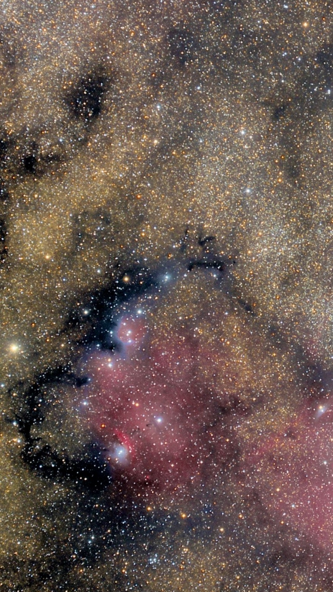 Обои туманность, коричневый цвет, астрономический объект, Галактика, наука в разрешении 1080x1920