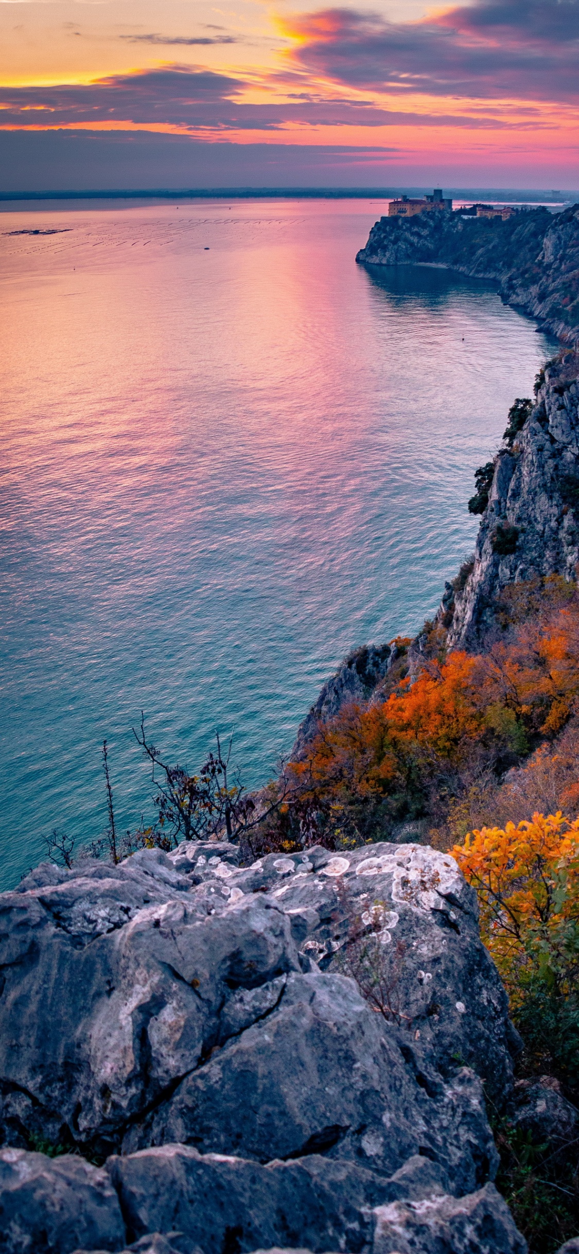 Обои вода, растение, лазурный, природный ландшафт, водоем в разрешении 1125x2436