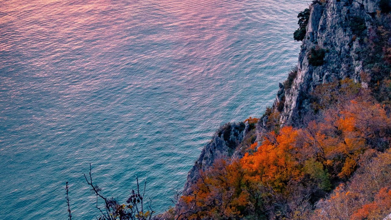 Обои вода, растение, лазурный, природный ландшафт, водоем в разрешении 1280x720