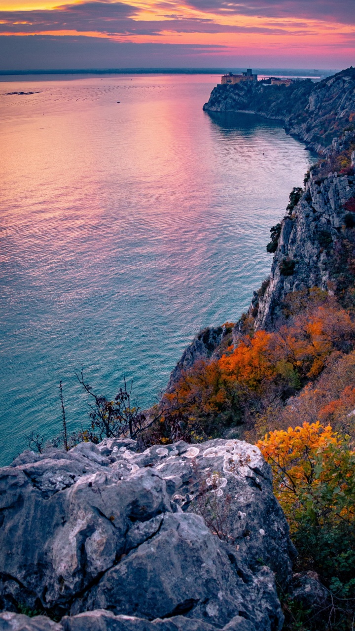 Обои вода, растение, лазурный, природный ландшафт, водоем в разрешении 720x1280