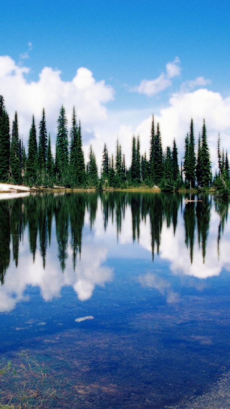 Обои отражение, природа, дикая местность, озеро, Национальный Парк Каирнгормс в разрешении 750x1334