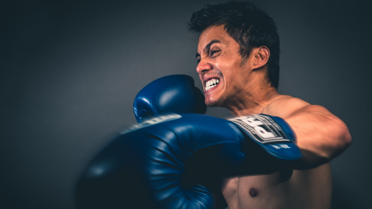 Обои бокс, крючок, боксерская перчатка, боксерский ринг, профессиональный бокс в разрешении 1280x720