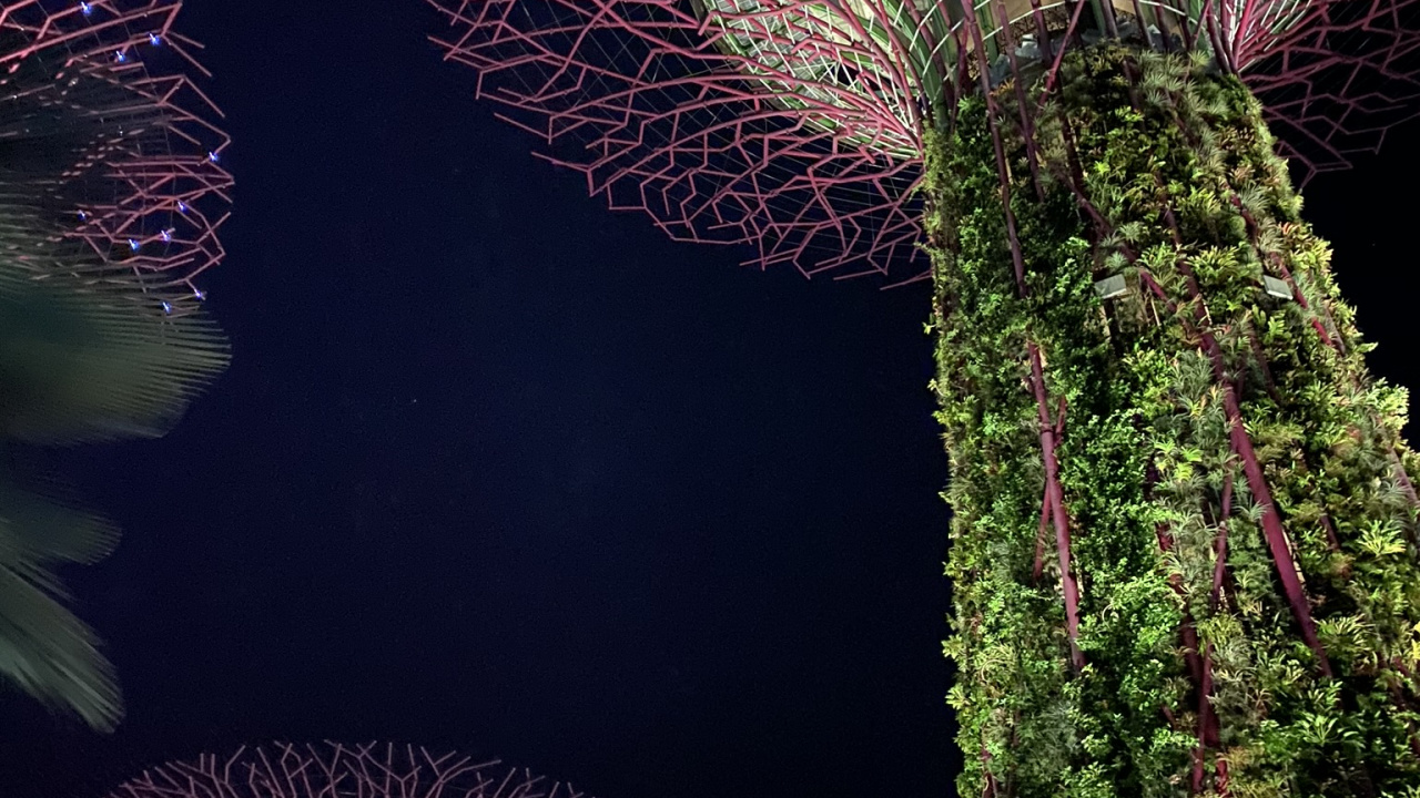 Обои Сингапур, природа, физика, наука, биология в разрешении 1280x720