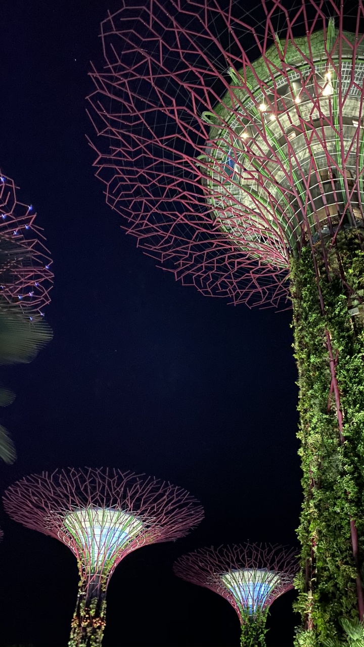 Обои Сингапур, природа, физика, наука, биология в разрешении 720x1280
