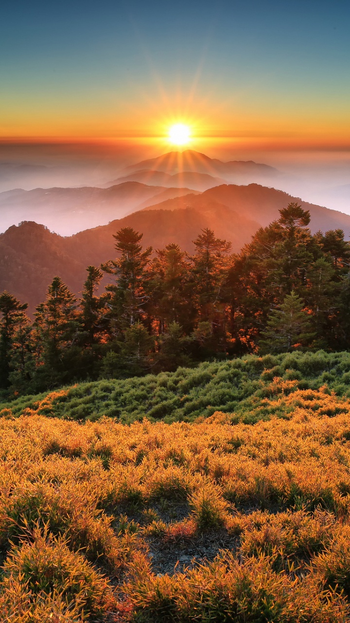 Обои природа, растительность, дикая местность, утро, пейзажи гор в разрешении 720x1280