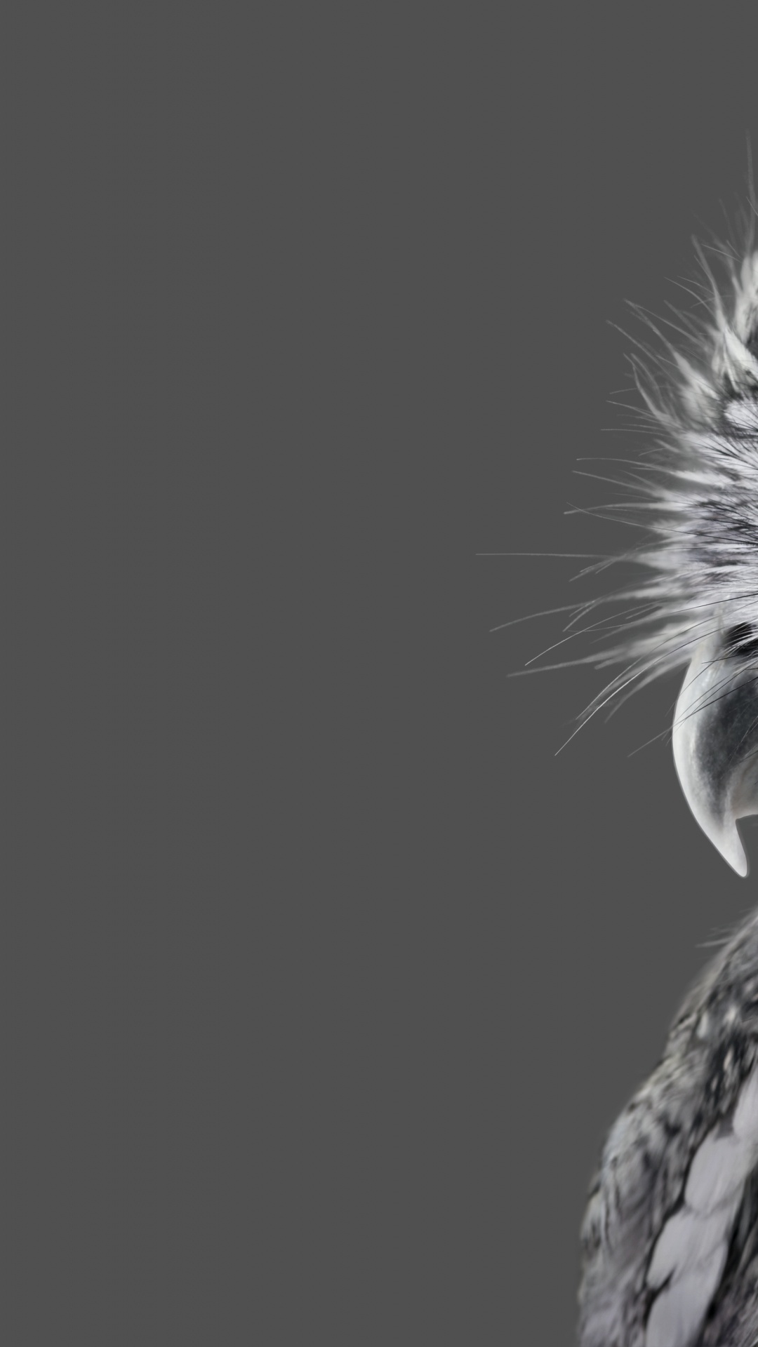 Обои Microsoft Surface, Microsoft Surface Studio, Поверхность Студию, Microsoft Surface Studio 2, Майкрософт в разрешении 1080x1920