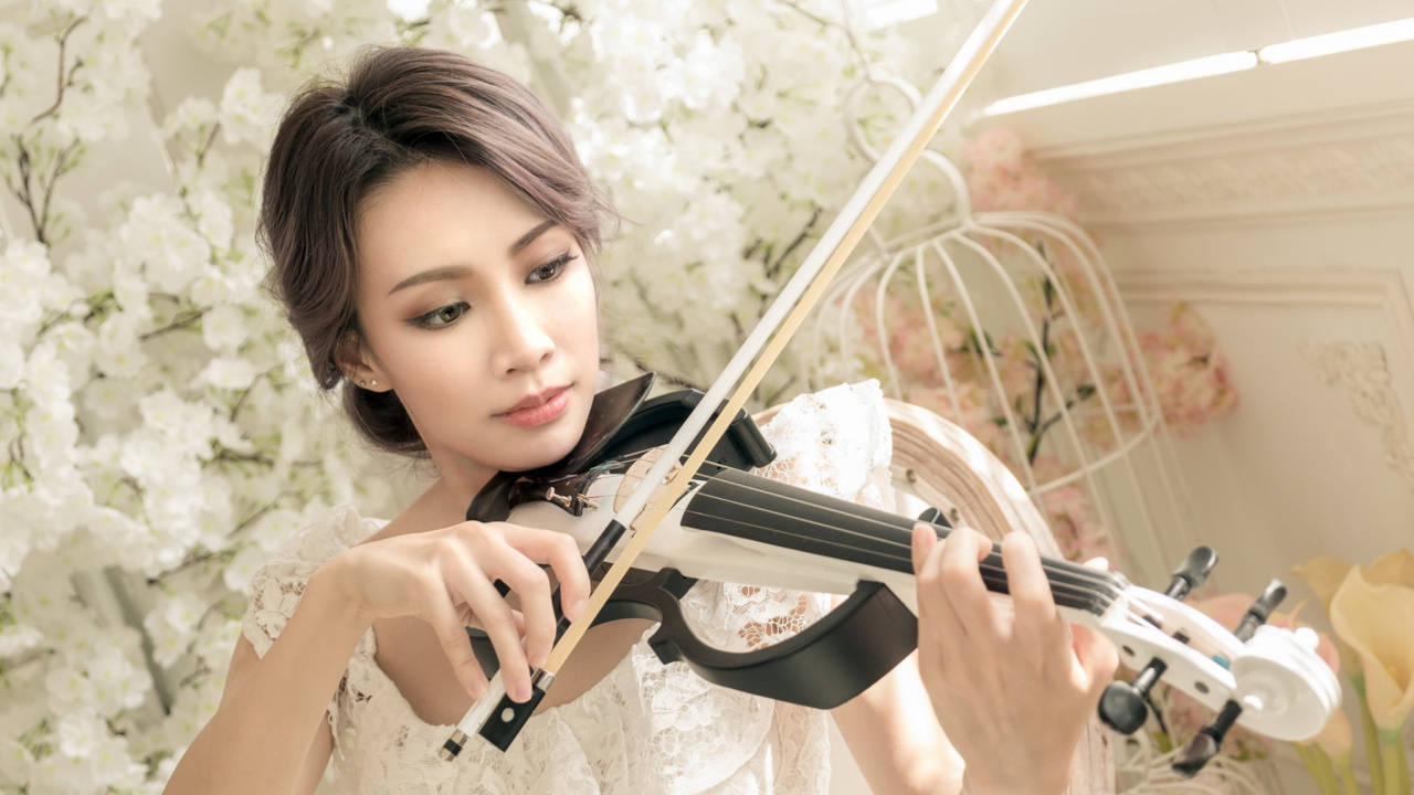 Обои скрипка, струнный инструмент, Смычковые музыкальные инструменты, альтист, скрипач в разрешении 1280x720