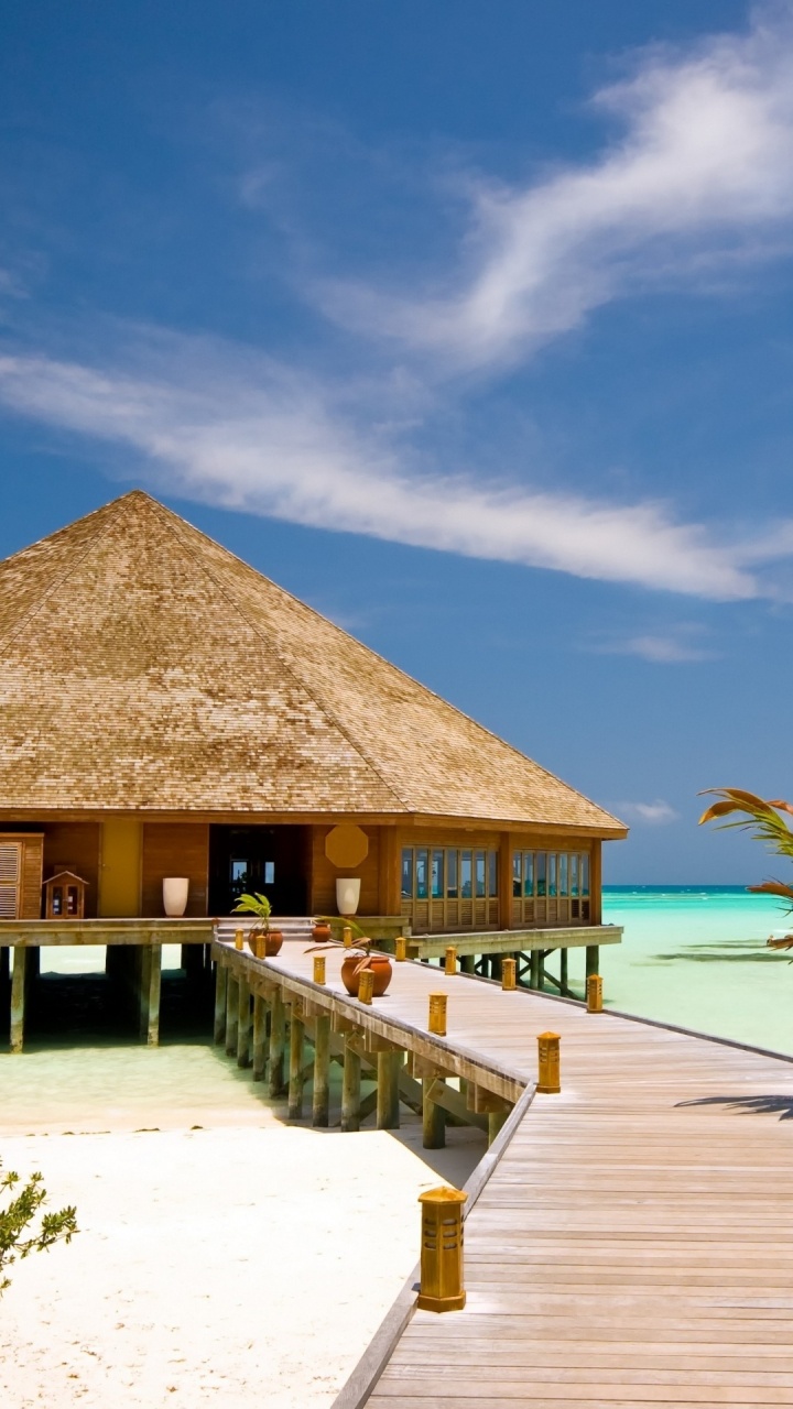 Обои пляж, прибежище, отпуск, тропическая зона, свойство в разрешении 720x1280