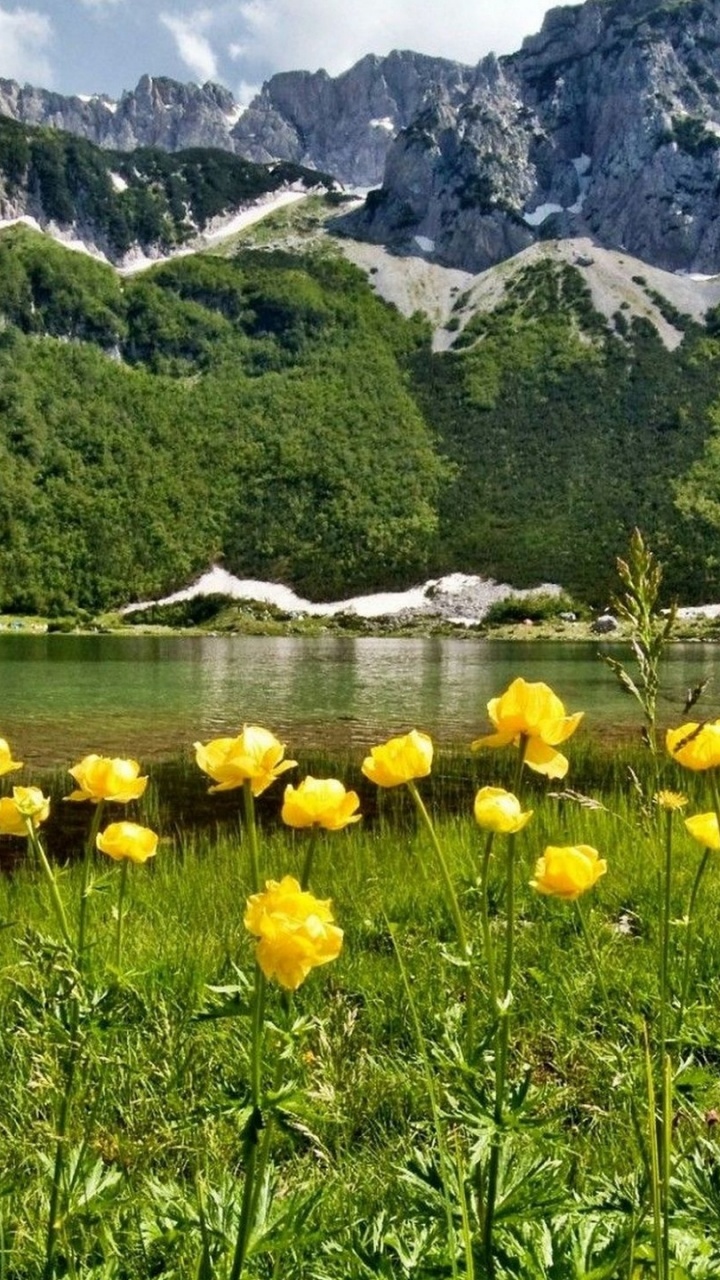 Обои природа, луг, растительность, гора, дикая местность в разрешении 720x1280