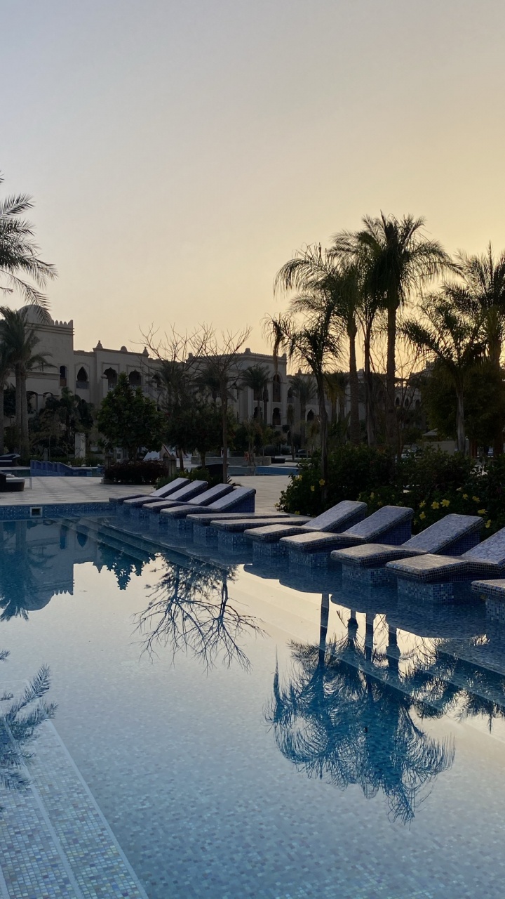 Обои отражение, вода, гидроресурсы, дневное время, растение в разрешении 720x1280