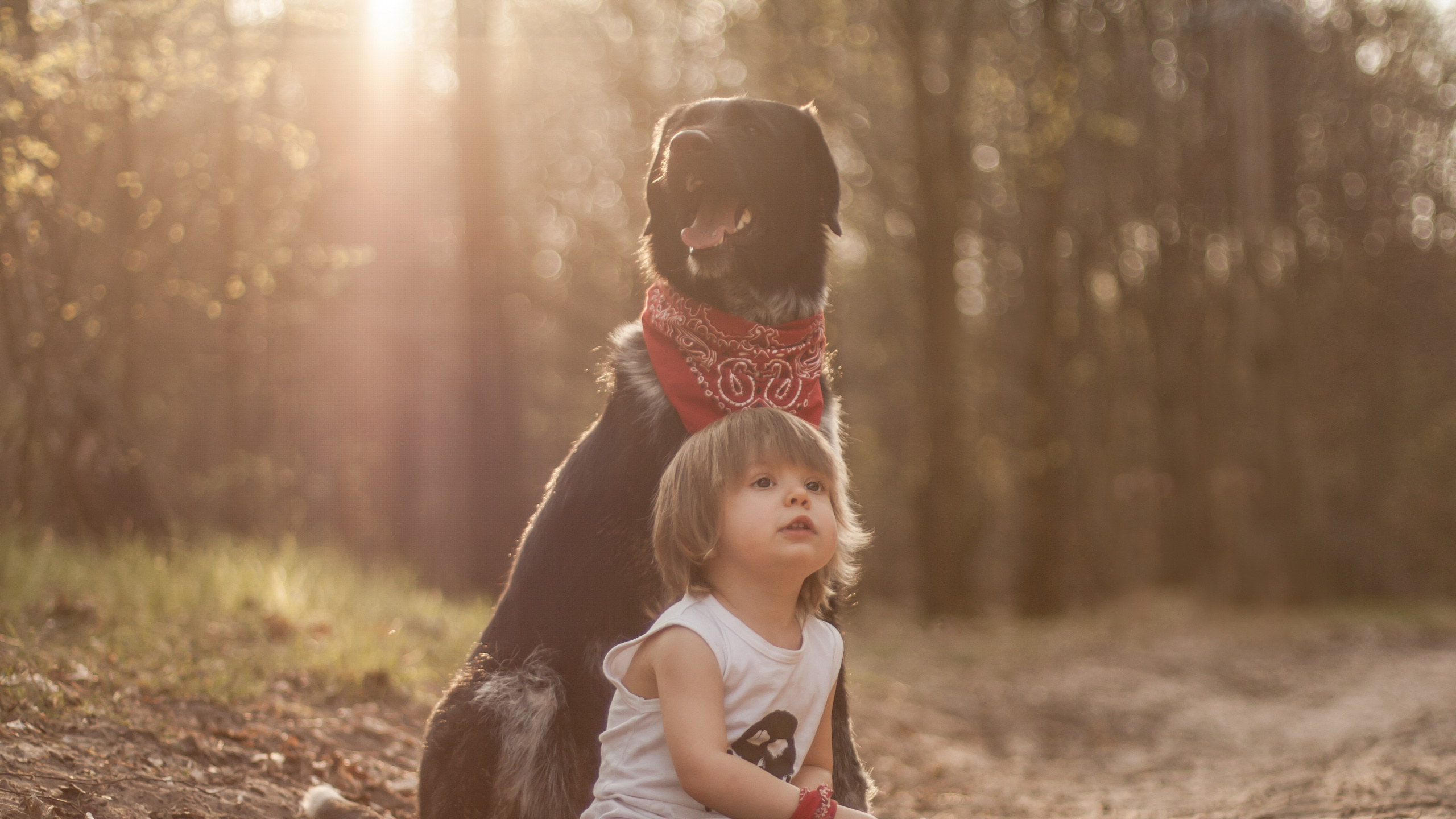 Обои ребенок, солнечный свет, забава, дерево, трава в разрешении 2560x1440