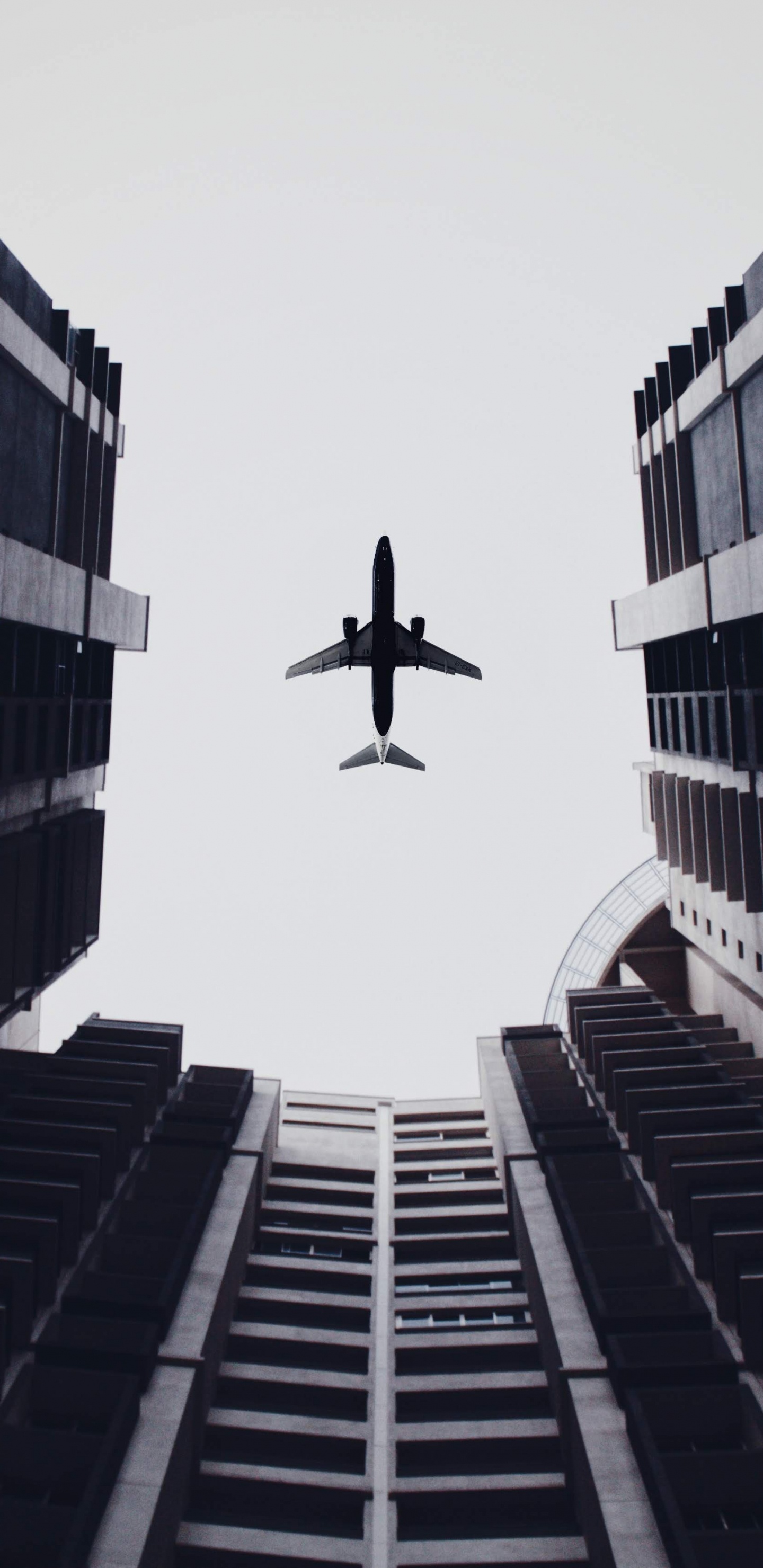 Обои самолет, белые, черный, архитектура, монохромный в разрешении 1440x2960