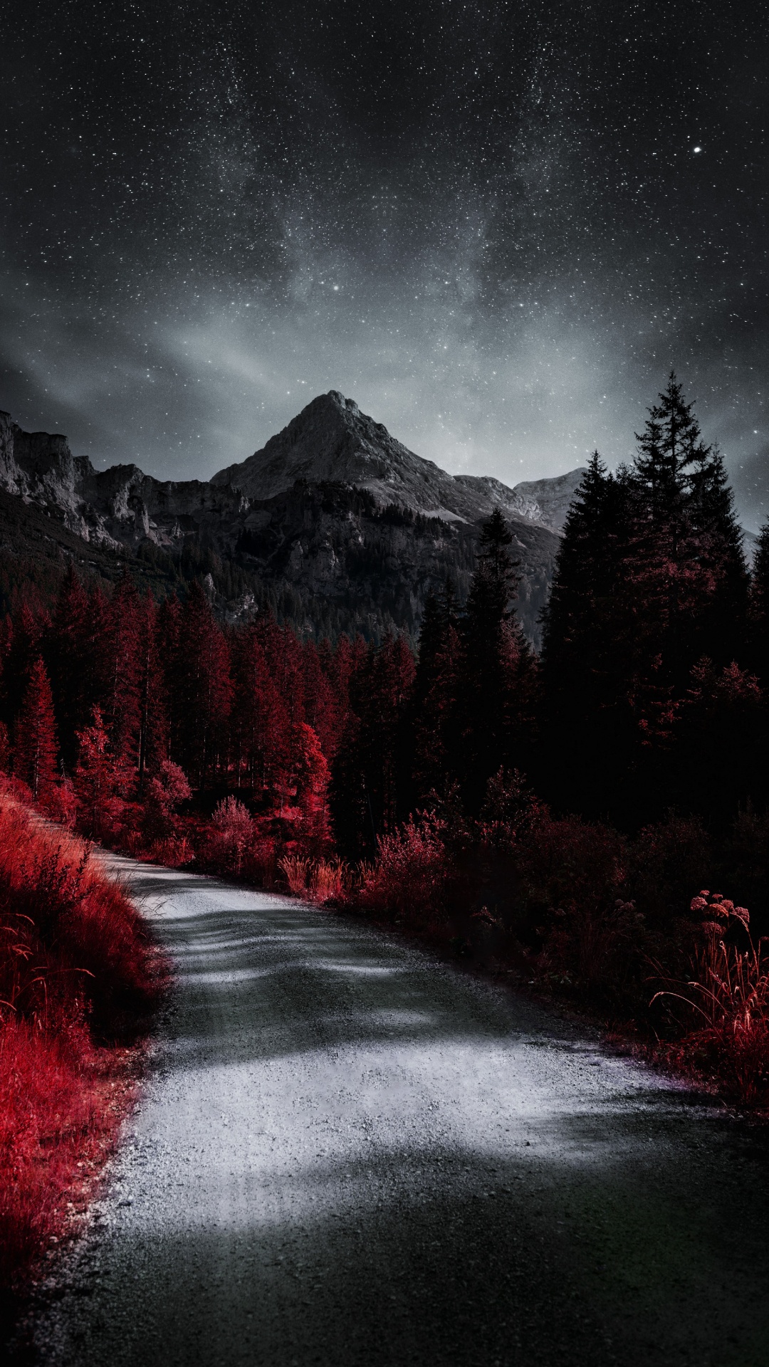 Обои растение, атмосфера, облако, природный ландшафт, окружающая среда в разрешении 1080x1920