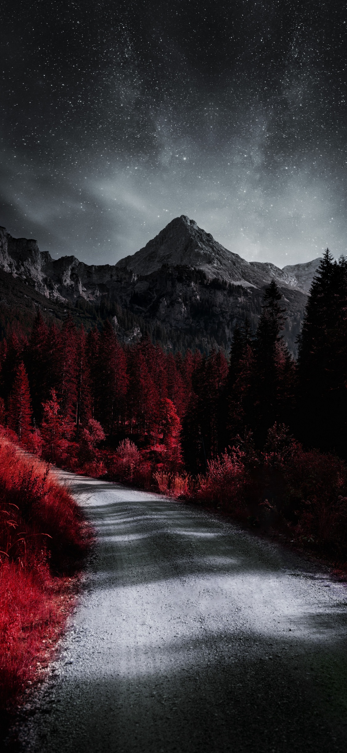 Обои растение, атмосфера, облако, природный ландшафт, окружающая среда в разрешении 1125x2436