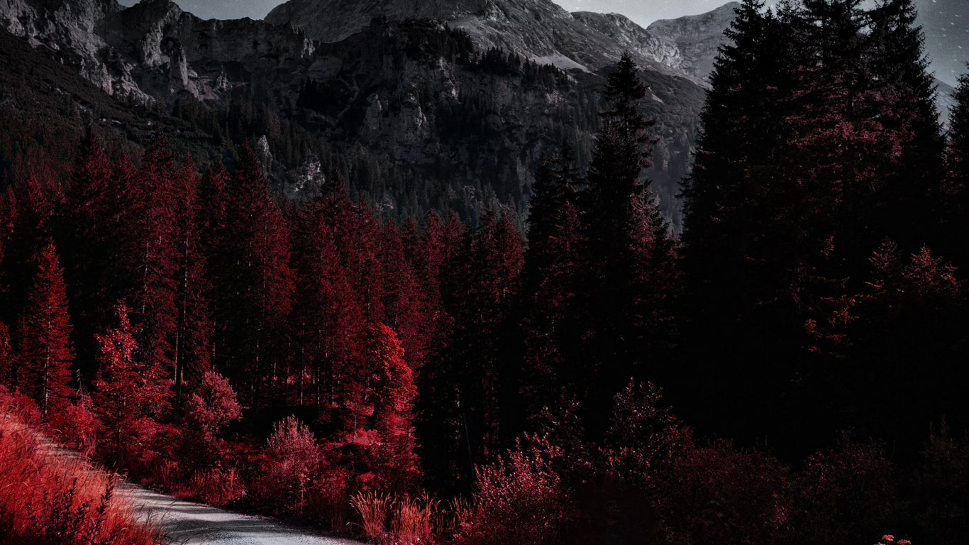 Обои растение, атмосфера, облако, природный ландшафт, окружающая среда в разрешении 1366x768