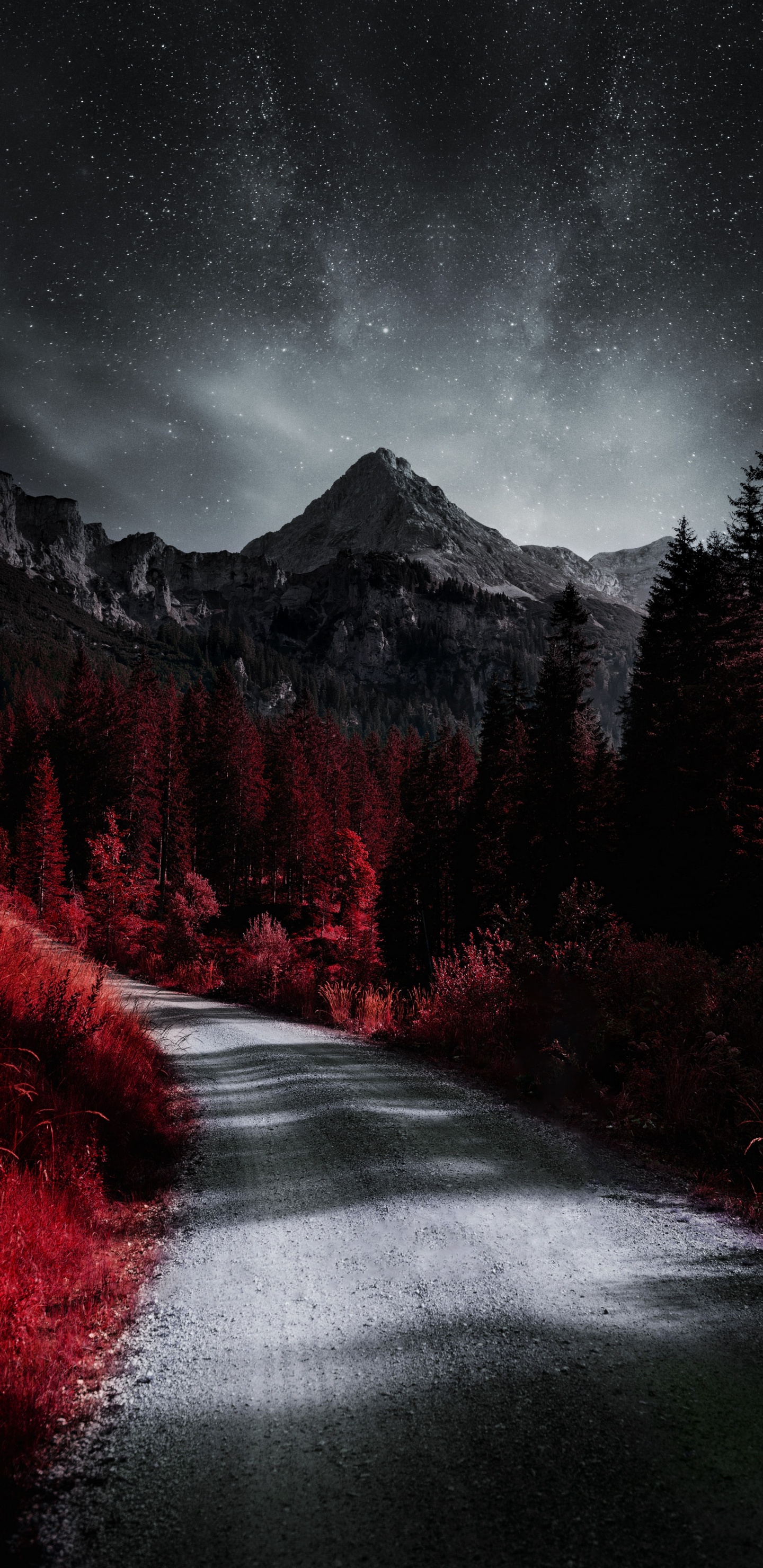 Обои растение, атмосфера, облако, природный ландшафт, окружающая среда в разрешении 1440x2960