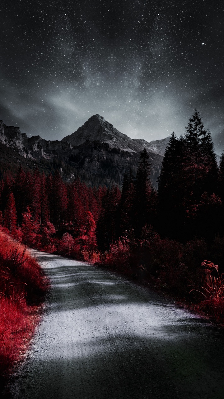 Обои растение, атмосфера, облако, природный ландшафт, окружающая среда в разрешении 720x1280