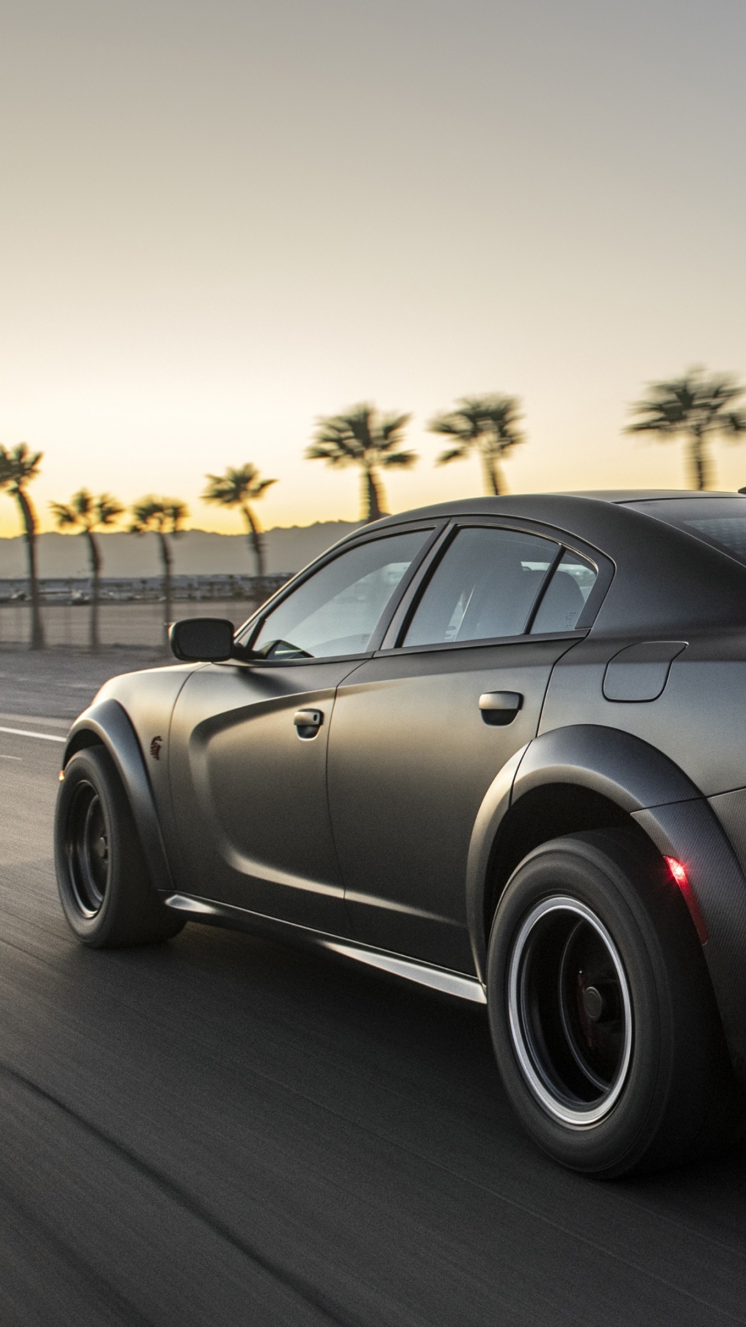 Обои Додж Чарджер speedkore, Dodge Charger 2019 года, Додж чарджер ЛК, dodge, Король в разрешении 1080x1920