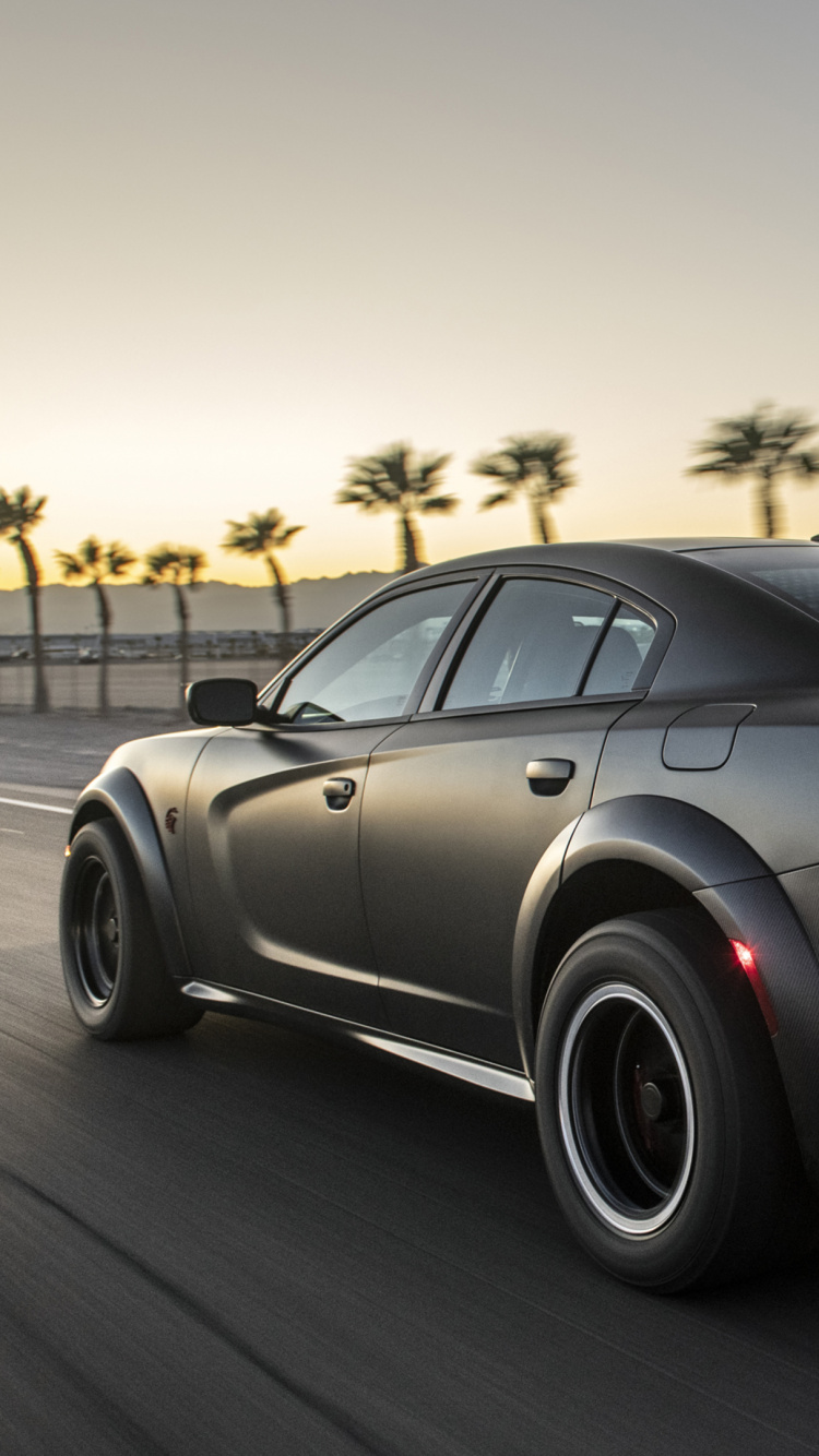 Обои Додж Чарджер speedkore, Dodge Charger 2019 года, Додж чарджер ЛК, dodge, Король в разрешении 750x1334