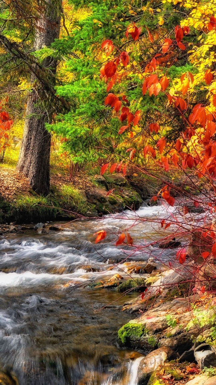 Обои природа, поток, живопись, водоток, реки в разрешении 720x1280